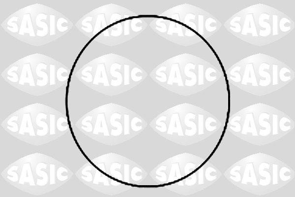 Sasic 1950007 - Garnitura brtvi, kosuljica cilindra www.molydon.hr