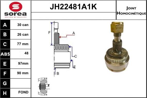Sera JH22481A1K - Kardan, Pogonska osovina www.molydon.hr