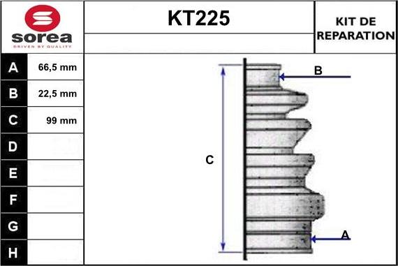 Sera KT225 - Manžeta, Pogonska osovina www.molydon.hr
