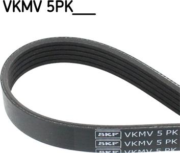 SKF VKMV 5PK1255 - Klinasti rebrasti remen  www.molydon.hr