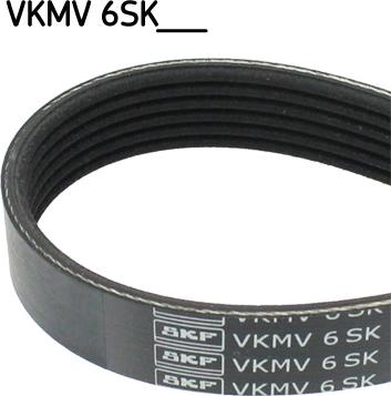 SKF VKMV 6SK989 - Klinasti rebrasti remen  www.molydon.hr