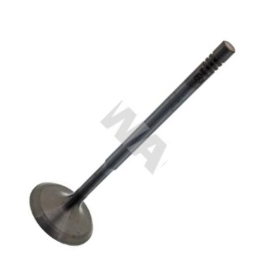 Swag 10 93 8604 - Usisni ventil www.molydon.hr