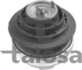 Talosa 61-06871 - Nosač motora www.molydon.hr