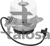 Talosa 61-15787 - Nosač motora www.molydon.hr