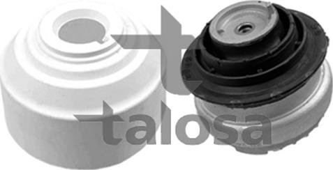 Talosa 61-12916 - Nosač motora www.molydon.hr