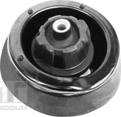 Tedgum 00418499 - Nosač amortizera www.molydon.hr