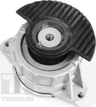 Tedgum 00418476 - Nosač motora www.molydon.hr