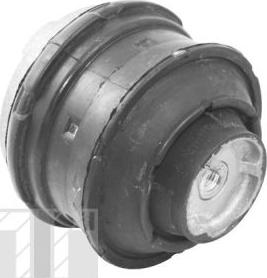 Tedgum TED81021 - Nosač motora www.molydon.hr
