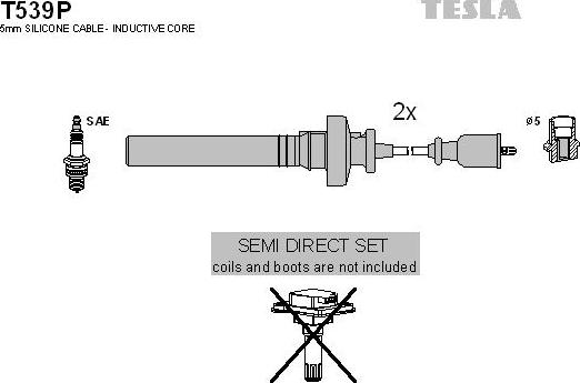 TESLA T539P - Set kablova za paljenje www.molydon.hr