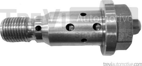 Trevi Automotive OCV1005 - Lajtung ( cijev ) ventil, podešavanje bregastog vratila www.molydon.hr