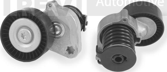 Trevi Automotive TA1754 - Natezač remena, klinasti rebrasti remen  www.molydon.hr