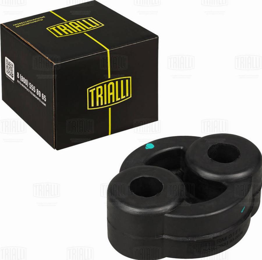Trialli RM 0171 - Držač, Ispušni lonac www.molydon.hr