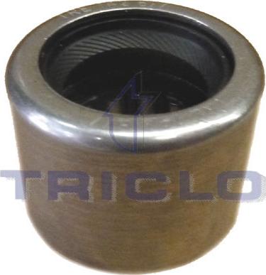 Triclo 625077 - Ležaj, ručni mjenjač www.molydon.hr