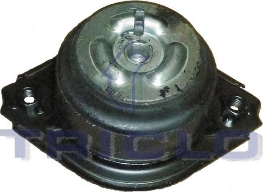 Triclo 363504 - Nosač motora www.molydon.hr