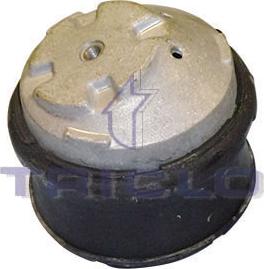 Triclo 362171 - Nosač motora www.molydon.hr