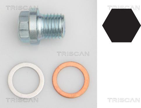 Triscan 9500 1011 - Čep kartera www.molydon.hr