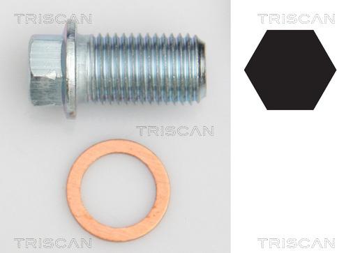 Triscan 9500 1012 - Čep kartera www.molydon.hr
