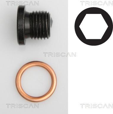 Triscan 9500 2906 - Čep kartera www.molydon.hr