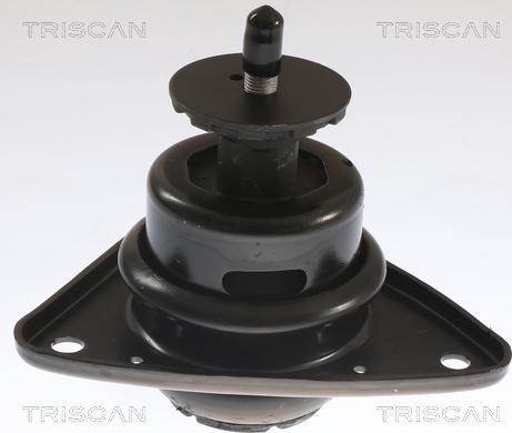 Triscan 8505 43101 - Nosač motora www.molydon.hr