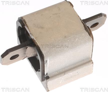 Triscan 8505 10203 - Ležište | Držač | Uležištenje, automatski mjenjač www.molydon.hr