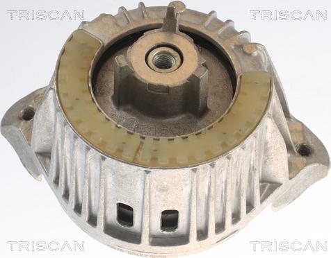 Triscan 8505 23108 - Nosač motora www.molydon.hr