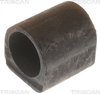 Triscan 8500 238031 - Čahura Ležaja, stabilizator www.molydon.hr