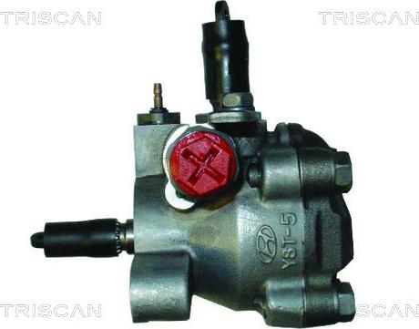 Triscan 8515 18606 - Hidraulična pumpa, upravljanje www.molydon.hr