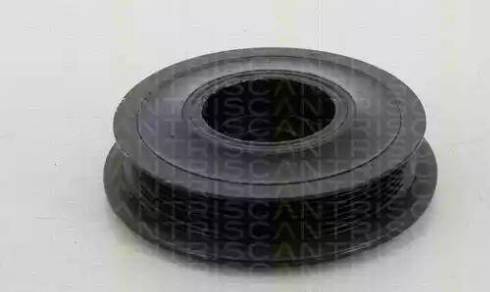 Triscan 8643 24001 - Remenica, radilica www.molydon.hr