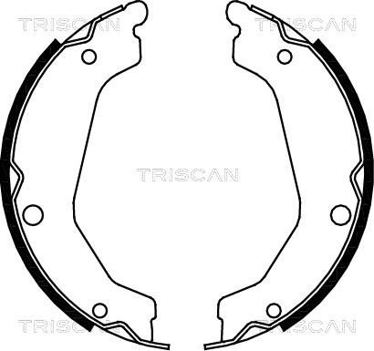 Triscan 8100 43019 - Komplet kočnica, bubanj kočnice www.molydon.hr