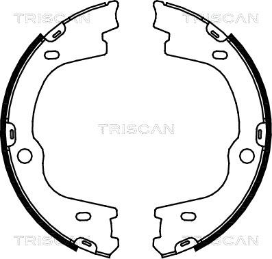 Triscan 8100 43026 - Komplet kočionih obloga, rucna kočnica www.molydon.hr
