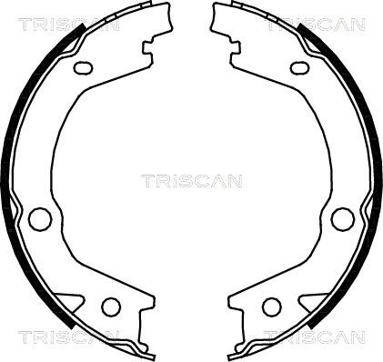 Triscan 8100 43020 - Komplet kočionih obloga, rucna kočnica www.molydon.hr