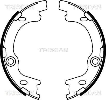 Triscan 8100 43021 - Komplet kočnica, bubanj kočnice www.molydon.hr