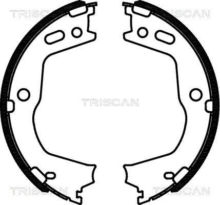 Triscan 8100 43028 - Komplet kočionih obloga, rucna kočnica www.molydon.hr