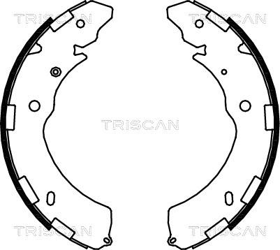 Triscan 8100 42021 - Komplet kočnica, bubanj kočnice www.molydon.hr
