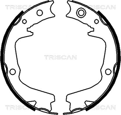 Triscan 8100 68002 - Komplet kočnica, bubanj kočnice www.molydon.hr