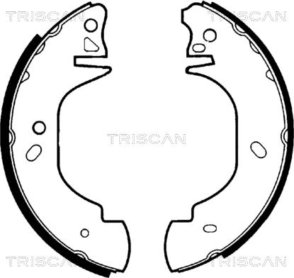 Triscan 8100 16570 - Komplet kočnica, bubanj kočnice www.molydon.hr