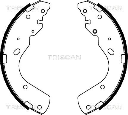 Triscan 8100 10017 - Komplet kočnica, bubanj kočnice www.molydon.hr