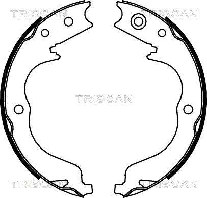 Triscan 8100 10029 - Komplet kočnica, bubanj kočnice www.molydon.hr