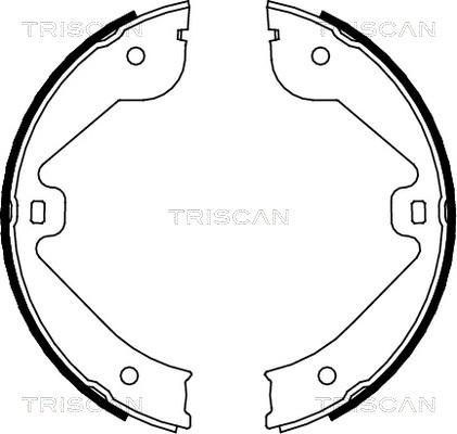 Triscan 8100 10022 - Komplet kočnica, bubanj kočnice www.molydon.hr