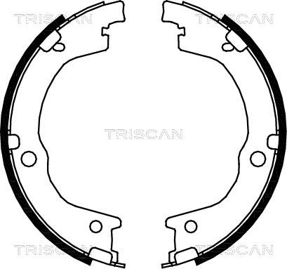 Triscan 8100 18006 - Komplet kočnica, bubanj kočnice www.molydon.hr