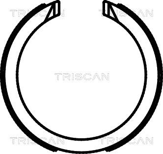 Triscan 8100 21003 - Komplet kočionih obloga, rucna kočnica www.molydon.hr