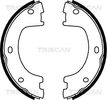 Triscan 8100 23032 - Komplet kočnica, bubanj kočnice www.molydon.hr