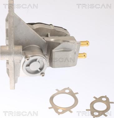 Triscan 8813 42002 - EGR ventil www.molydon.hr