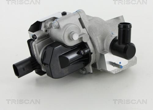 Triscan 8813 18046 - EGR ventil www.molydon.hr