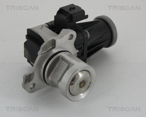 Triscan 8813 28005 - EGR ventil www.molydon.hr