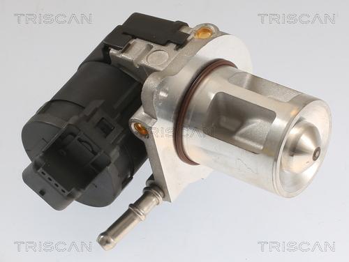 Triscan 8813 23040 - EGR ventil www.molydon.hr