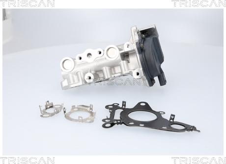 Triscan 8813 23041 - EGR ventil www.molydon.hr