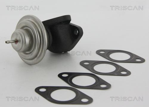 Triscan 8813 23013 - EGR ventil www.molydon.hr