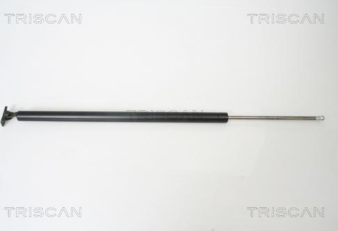 Triscan 8710 43214 - Plinski amortizer, prtljaznik/utovarni prostor www.molydon.hr
