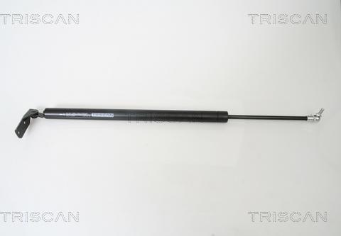 Triscan 8710 42237 - Plinski amortizer, prtljaznik/utovarni prostor www.molydon.hr